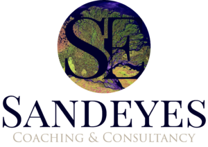 Sandeyes consulting coach logo